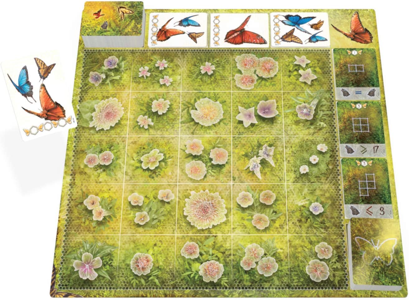 JEU DE SOCIÉTÉ - DUST IN THE WINGS - BOARD & DICE - VERSION ANGLAISE